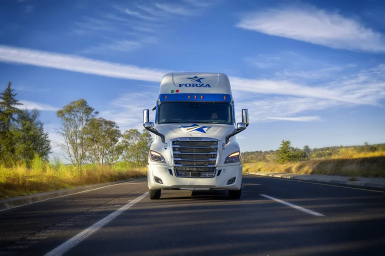 transportes refrigerados forza 02