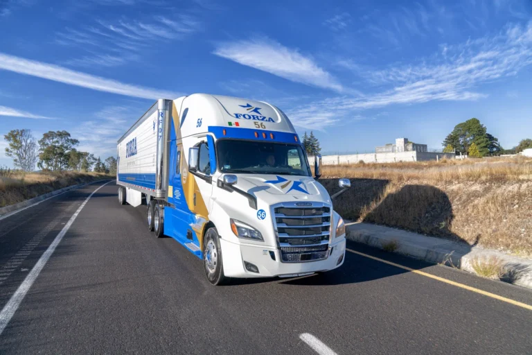 transportes refrigerados forza 03